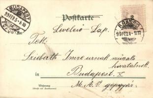 1899 Glücks-Postkarte herausgeben von J. C. Schmidt/ Good Luck! litho greeting card, clovers