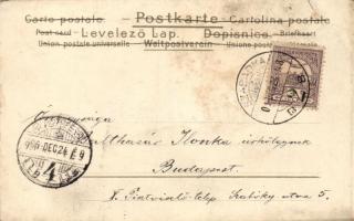 Christmas, Art Nouveau litho postcard s: Kieszkow (fl)