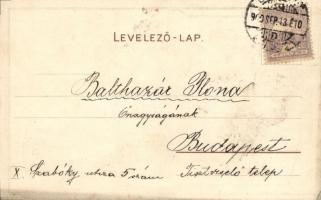 Budapest XI. Saxlehner András Hunyadi János keserűvíz üzeme, reklám; Bruchsteiner és fia litho