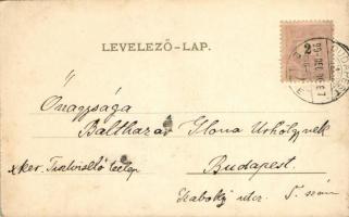 1899 Boldog újévet! / New Year, Art Nouveau greeting card, Hungarian issue (!) s: Raphael Kirchner