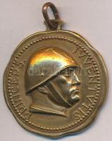 Olaszország 1935. "GUF (Fasiszta Egyetemi Csoport) - Nápolyi Partenopei Játékok" Br medál....