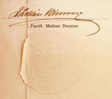 1924 Bp., A Pázmány Péter Tudományegyetem által kiállított gyógyszerész oklevél szárazpecséttel, okm...