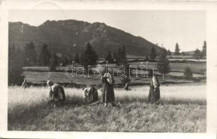 Borsa, marokszedő asszonyok, folklór / folklore, photo