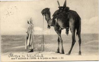 Scenes & Types, La priere au Desert / Algerian folklore, camel (EB)