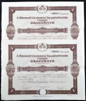 Hódmezővásárhely 1926. "Hódmező-Vásárhelyi Takarékpénztár" részvényi 20P-ről, szárazpecséttel és szelvényekkel (2x) sorszámkövetők! T:II