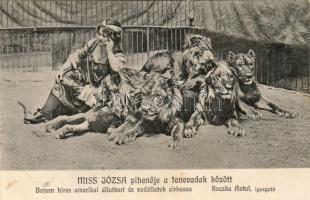 Miss Józsa und die Löwen