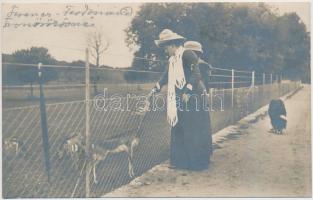 cca 1910 Ferenc Ferdinánd felesége Sophie Chotek grofnő Brioni szigetén. Fotólap / Wife of FRanz Ferdinand Sophie Chotek in Brioni