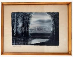 Olvashatatlan jelzéssel: Zala folyó. Vegyes technika, papír, jelzett, üvegezett keretben, 23×33 cm