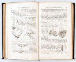 Heyer Carl dr.: Der Waldbau, oder die Forstproductenzucht, von- - Leipzig, 1854, Leubner. Viseltes e...