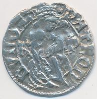 1482-1486. Denár Ag I. Mátyás (0,51g) T:2-,3 Huszár 719., Unger I.: 565.b