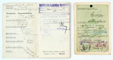 1915 Fényképes igazolvány a hadműveleti területen való mozgásra Herpy Arnold órásmester, az órás ipa...