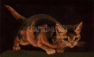 Cat, Wenau-Postkarte Pastell No. 608. litho