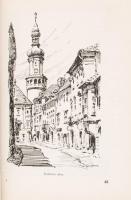 Gimes Imre dr.:Soproni Útikalauz. Sopron, 1959, Győr-Sopron Megye Tanácsának Idegenforgalmi Hivatala...