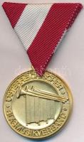 Ausztria 2006. "Az Osztrák Fúvószenekari Egyesület arany fokozatú érdemérme" aranyozott fém kitüntetés mellszalagon T:1-  Austria 2006. "Gold Service Medal of the Austrian Wind Music Association" gilt metal decoration with ribbon C:AU