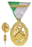 Ausztria DN "Stájer Fúvószenekari Egyesület" aranyozott fém kitüntetés mellszalagon miniat...