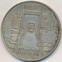 Csúcs Viktória (1934-) 1973. "Pest-Buda-Óbuda egyesítésének centenáriuma" Ag emlékérem (25.07g/0.800/42,5mm) T:PP ujjlenyomat, patina