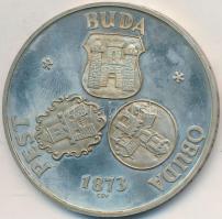 Csúcs Viktória (1934-) 1973. "Pest-Buda-Óbuda egyesítésének centenáriuma" Ag emlékérem (25...