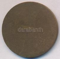 Rózsa Péter (1936-) ~1970-80. "Kossuth Lajos Katonai Főiskola - 30" Br emlékérem, nem sajá...