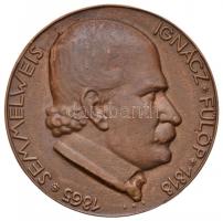 DN "Semmelweis Ignác Fülöp 1818-1865" egyoldalas Br érem (69mm) T:2