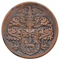 Berán Lajos (1882-1943) 1936. "Debreceni Nyári Egyetem" Br emlékérem (77mm) T:2
Hungary 19...