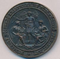 ~1910. "Budapesti Nőiszabó Leányruha és Fűzőkészítő Ipartestület / A munka szorgalom és haladás elismeréséül" Br emlékérem (48mm) T:2