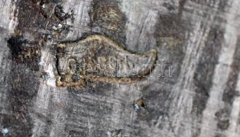 Régi, szecessziós réz váza, kis horpadásokkal, jelzett ("G. H. SCH."), m: 24 cm