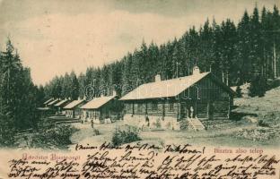 Bisztra, alsó telep (EK)