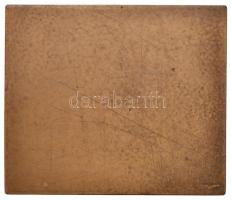 Ligeti Miklós (1871-1944) 1936. "Pesti Magyar Kereskedelmi Bank T.S.E. 1911-1936" Br emlék...