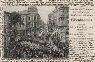 Frankfurt a. M. Jubiläum von Eibenbaumes