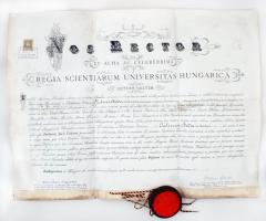 1911 Pergamen jogi diploma függő viaszpecséttel, fedél nélkül