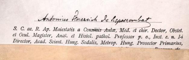 1911 Pergamen jogi diploma függő viaszpecséttel, fedél nélkül