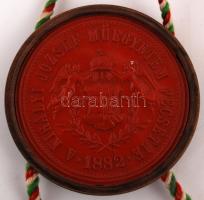 1906 Vegyészmérnöki (Magyar Királyi Műegyetem) diploma, pecsét fedő hiányzik, eredeti tokjában (sérü...