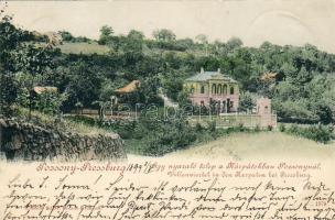 1899 Pozsony  Vilenviertel