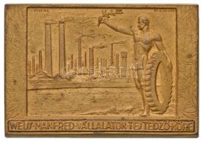 Stetka Gyula (1885-1925) - Gácsik Lajos (1905-1981) 1943. "Weiss Manfred Vállalatok Testedző Köre" aranyozott Br sportplakett eredeti dísztokban (58,5x40,5mm) T:2