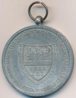 1940. "Erdélyi részek felszabadulásának emlékére" cink emlékérem mellszalag nélkül. Szign....