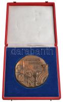 DN "Székesfehérvárért" Br emlékplakett eredeti dísztokban (103mm) T:2