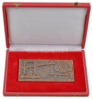 Búza Barna (1910-2010) 1949. "Móri Állami Gazdaság 1949" Br plakett eredeti dísztokban (13...