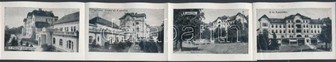 Budakeszi, Erzsébet királyné szanatórium, leporellocard
