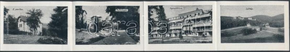 Budakeszi, Erzsébet királyné szanatórium, leporellocard