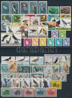 Madár motívum tétel 62 db bélyeg 2 stecklapon Birds 62 stamps on 2 stock cards