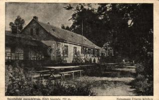 12 db RÉGI magyar városképes lap, fekete-fehér lapok / 12 old Hungarian postcard, black and white postcards, mixed quality