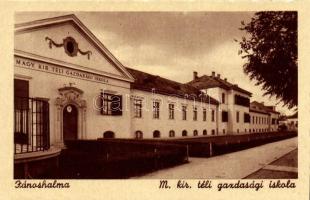 12 db főként RÉGI magyar városképes lap / 12 old Hungarian postcard, 'Weinstock'