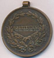 1917. Bronz Vitézségi Érem "IV. Károly / Fortitudini" mellszalag nélkül. Szign: Kautsch T:...