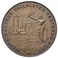 1941-1943. "Weiss Manfred Vállalatok Testedző Köre" 3db klf méretű díjérem, az egyik mells...