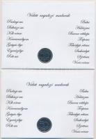 2003-2007. 50Ft "Védett ragadozó madarak" érmés bélyeges boríték alkalmi bélyegzővel, bély...