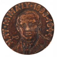 MG jelzéssel: Háy Mihály (1895-1944), bronz plakett, d: 8 cm