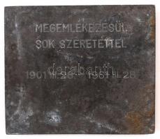 Testnevelési Főiskola, fém plakett, jelzés nélkül, 7x6 cm