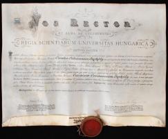 1916 Államtudományi diploma pergamenen, függő viaszpecséttel