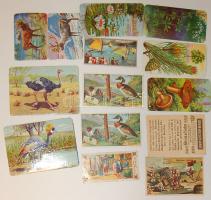 13 db színes reklámkártya és kép