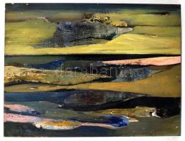 Tölg-Molnár Zoltán (1944-): Táj. Olaj, farost, jelzett, 60×80 cm